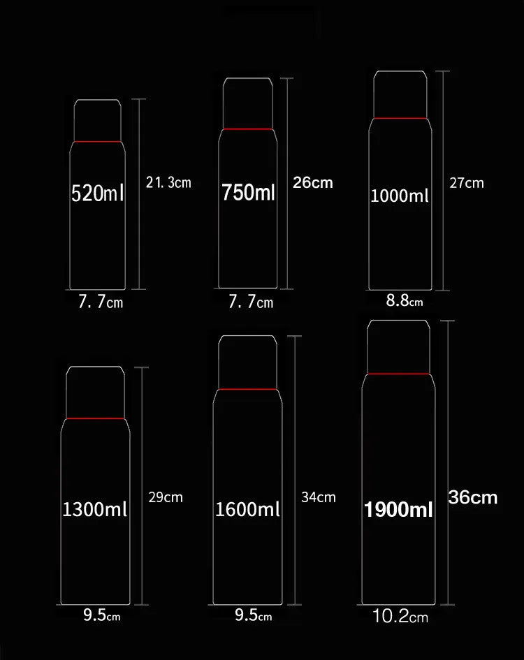 Stainless Steel Insulated Water Bottle Zpaxo