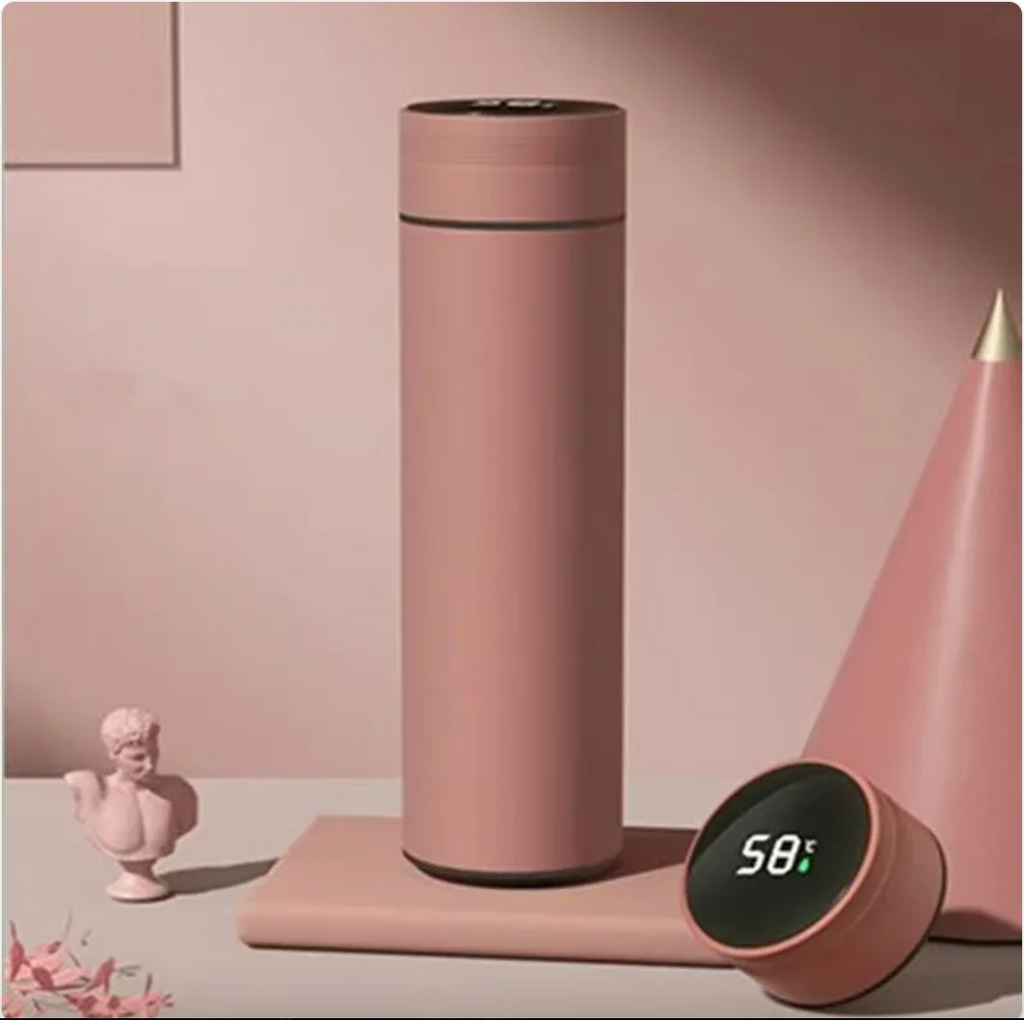Smart Temperature Display Insulated Stainless Steel Cup Zpaxo