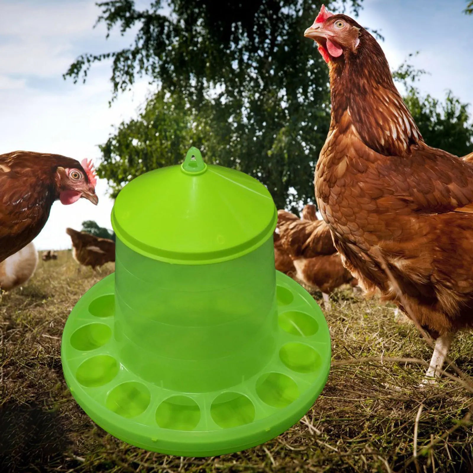Automatic Poultry Feeder Drinking Bowl Farming Tools Feeding Zpaxo