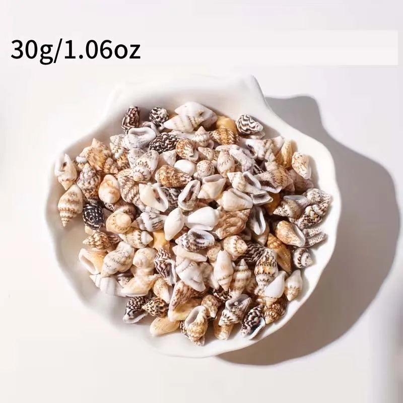 30g Mini Conch Shells – DIY Jewelry, Bracelet & Decor Craft DIY Craft Shells Zpaxo 30g