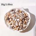 30g Mini Conch Shells – DIY Jewelry, Bracelet & Decor Craft DIY Craft Shells Zpaxo 30g
