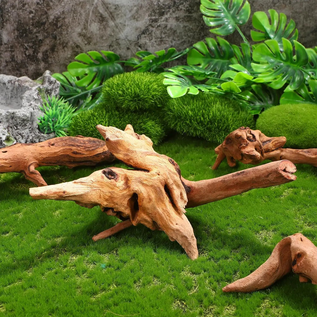 1PC 15-20CM 10-15CM Natural Driftwood for Aquarium Fish Tank Decorations Bearded Dragon Reptiles Air Plants Decor Accents Zpaxo
