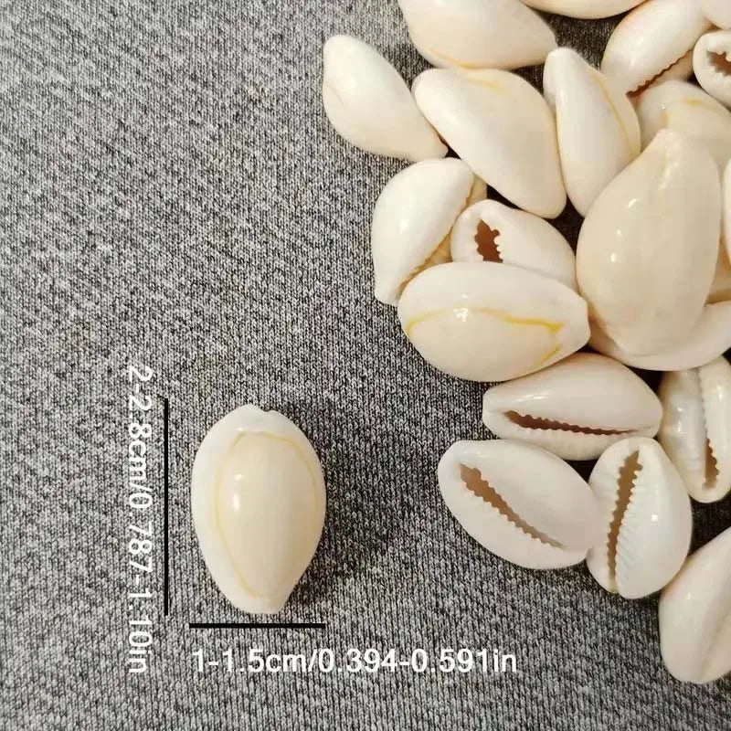 Natural Tiny Small Sea Shells Spiral Seashell iny Beach Seashells for Summer Ocean Jewelry Making Fish Tank Vase Filler Decor Zpaxo