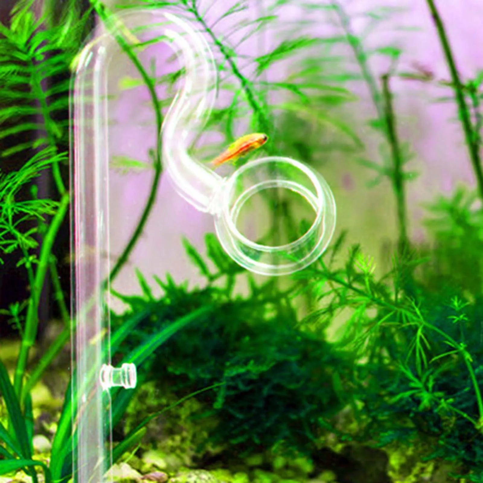 Aquariums Lily Tube Inflow Outflow Surface Aquariums Water Plant Tank Filter 10/17mm Transparent Easy to Clean Glass Lily Pipe Zpaxo