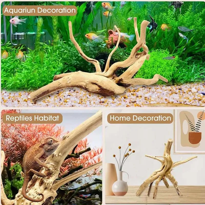 Driftwood Cuckoo Root Aquarium Ornament | Fish Tank Decor 10–26cm Aquarium Ornament Zpaxo