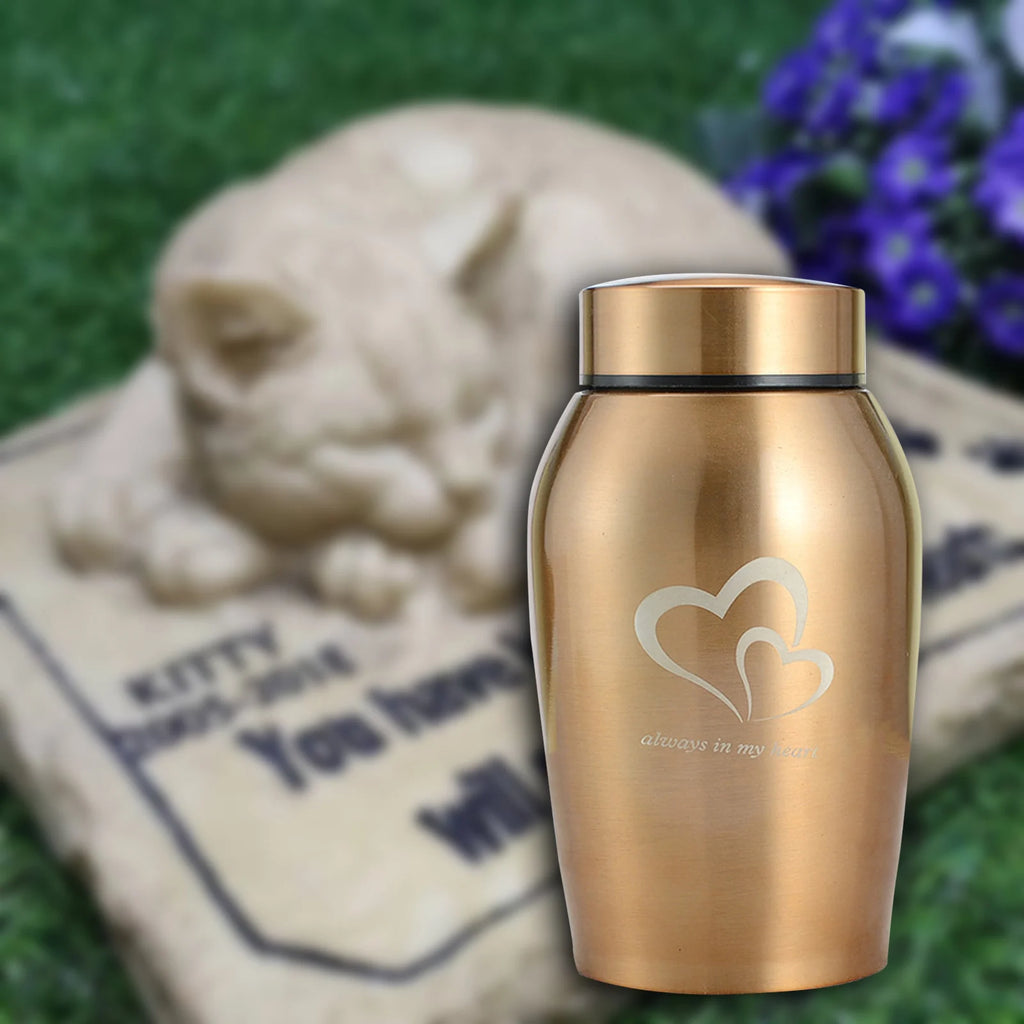 Pet Urns Burial Casket Keepsake Case Memory Cremation Memorial Urn for Dogs Ashes Small Animal Cats Ashes Keeping Precious Zpaxo