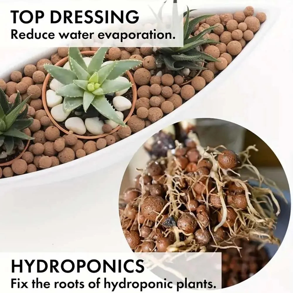 100g Expanded Clay Pebbles – Hydroponic & Aquatic Plant Media Clay Growing Medium Zpaxo