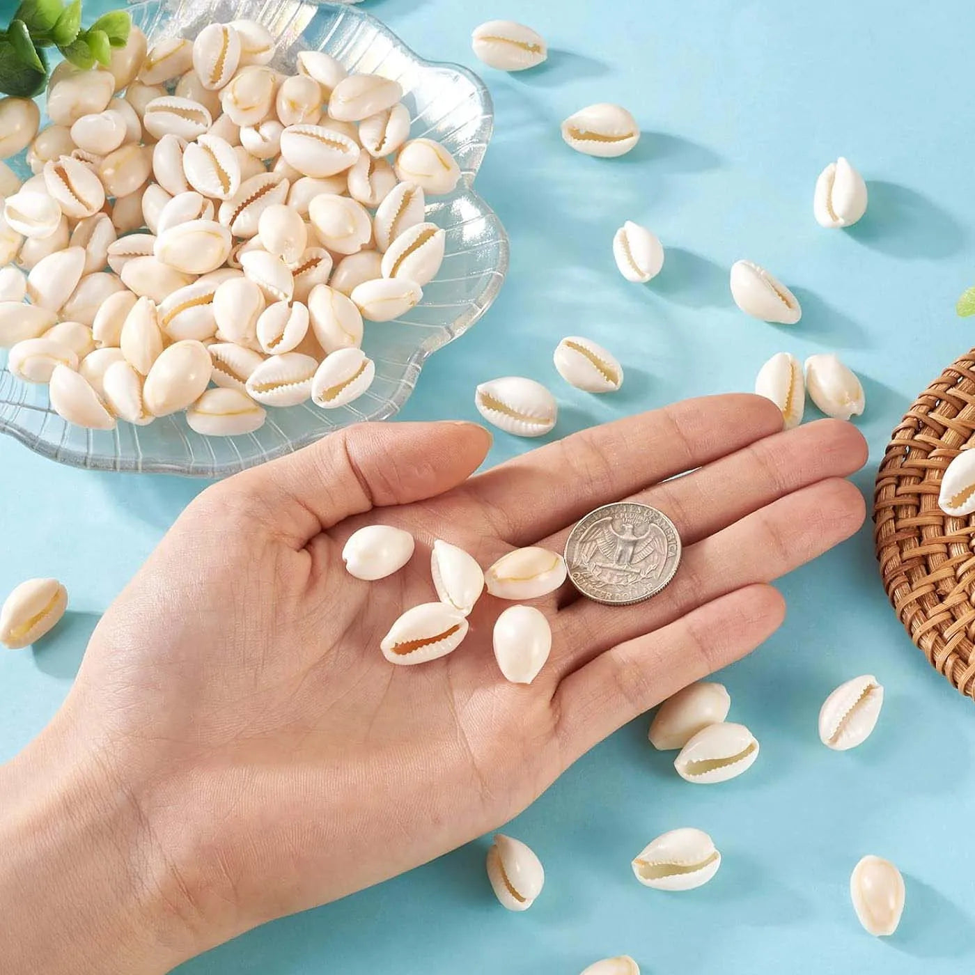 Natural Tiny Small Sea Shells Spiral Seashell iny Beach Seashells for Summer Ocean Jewelry Making Fish Tank Vase Filler Decor Zpaxo