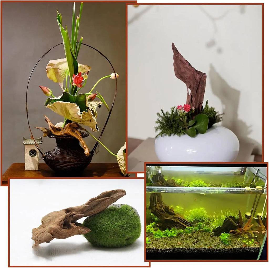 5-10cm Driftwood for Aquarium Fish Tank Wood Natural Aquarium Wood Smooth Decorations for Aquascaping Micro-aquariums Hardscape Zpaxo