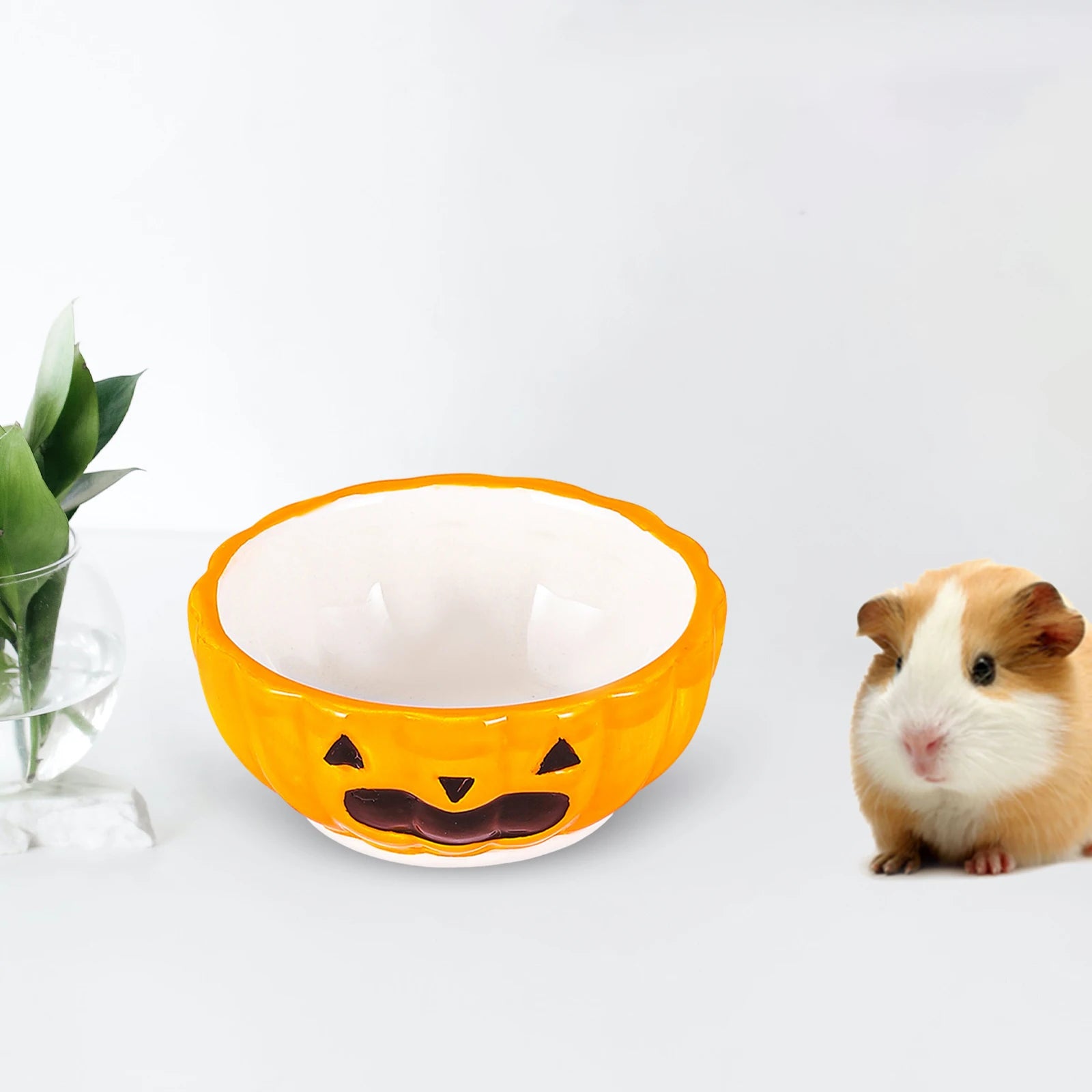 Ceramic Gerbil Chinchilla Rat Accessories Cute Landscaping Habitats Zpaxo
