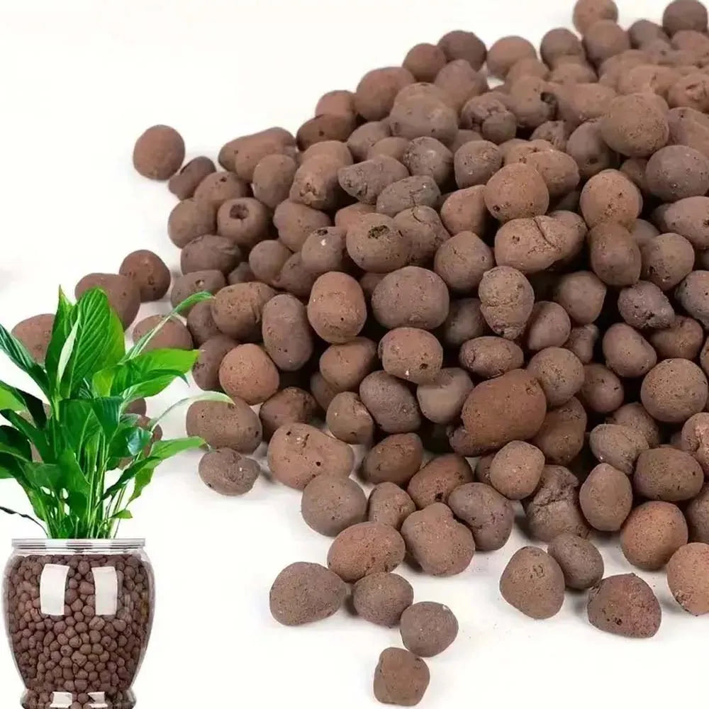 100g Expanded Clay Pebbles – Hydroponic & Aquatic Plant Media Clay Growing Medium Zpaxo