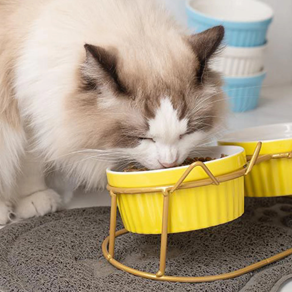 Retro Cat Bowls Raised Stand, Double Elevated Feeding Bowls Holder for Pet Ceramic Bowl Dog Cat Food Feeding Bowls Stand Zpaxo