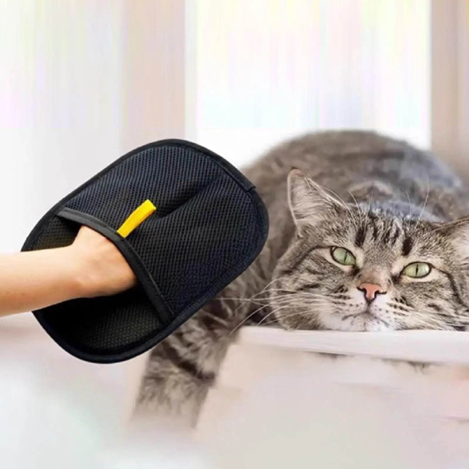 Pet Hair Removal Glove Dog Cat Grooming Glove for Cat rabbits hamsters long,short curly hair Bedsheet Sofa Reusable Pet Glove Zpaxo