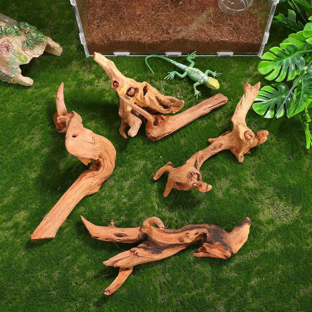 1PC 15-20CM 10-15CM Natural Driftwood for Aquarium Fish Tank Decorations Bearded Dragon Reptiles Air Plants Decor Accents Zpaxo 15-20CM 1PC