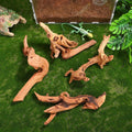 1PC 15-20CM 10-15CM Natural Driftwood for Aquarium Fish Tank Decorations Bearded Dragon Reptiles Air Plants Decor Accents Zpaxo 15-20CM 1PC