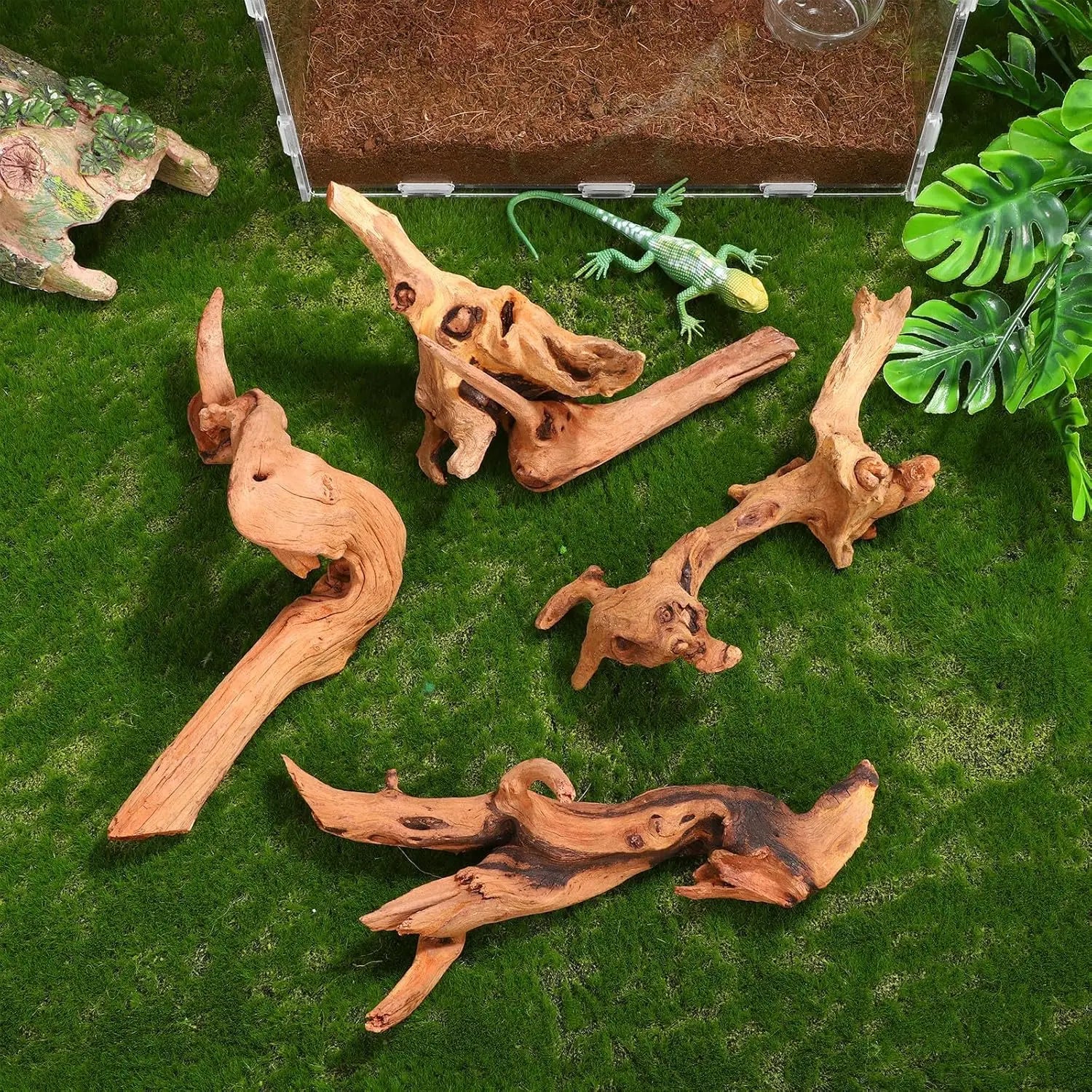 1PC 15-20CM 10-15CM Natural Driftwood for Aquarium Fish Tank Decorations Bearded Dragon Reptiles Air Plants Decor Accents Zpaxo 15-20CM 1PC