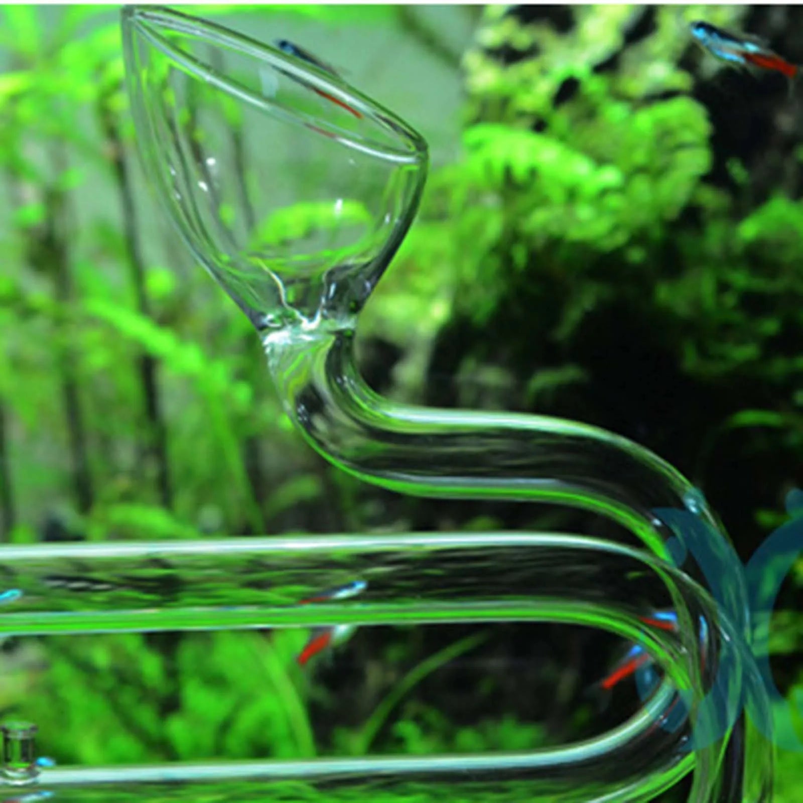 Aquariums Lily Tube Inflow Outflow Surface Aquariums Water Plant Tank Filter 10/17mm Transparent Easy to Clean Glass Lily Pipe Zpaxo