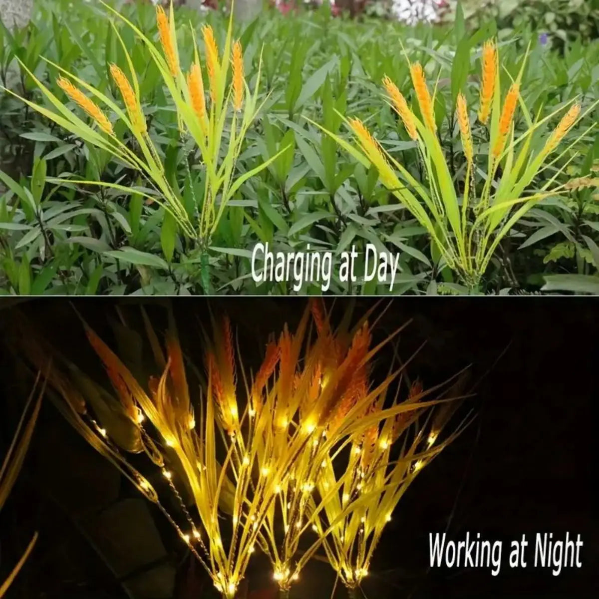 Vibrant Autumn Wheat Solar Pathway Lights Dusk-to-dawn LED Courtyard Zpaxo