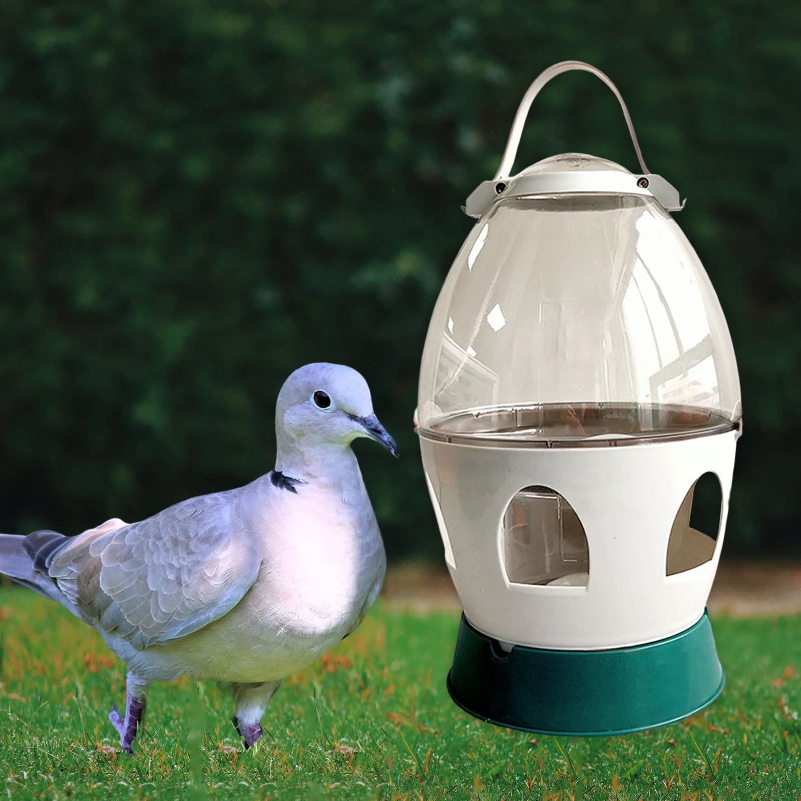 Pigeon Water Dispenser Automatic Feeder Water Container with Handle Bird Feeding Drinker for Dove Duck Bird Cage Accessories Zpaxo