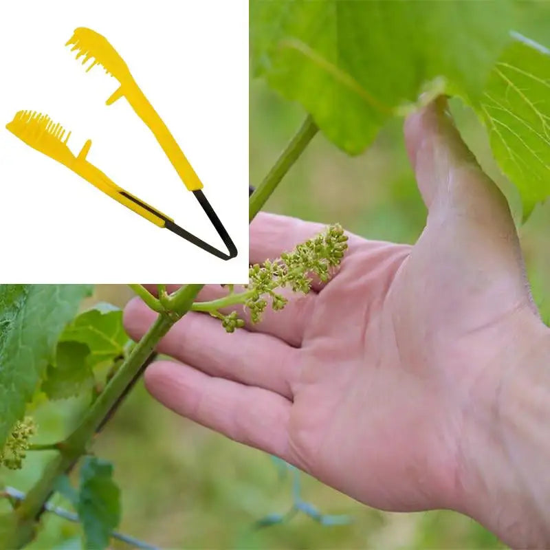 6.69inch Grape Pruning Clip Thinning Tool Handhled Fruits Grape Bud & Flower Thinning Clip for Farm Gardening Plant Hand Pruner Zpaxo