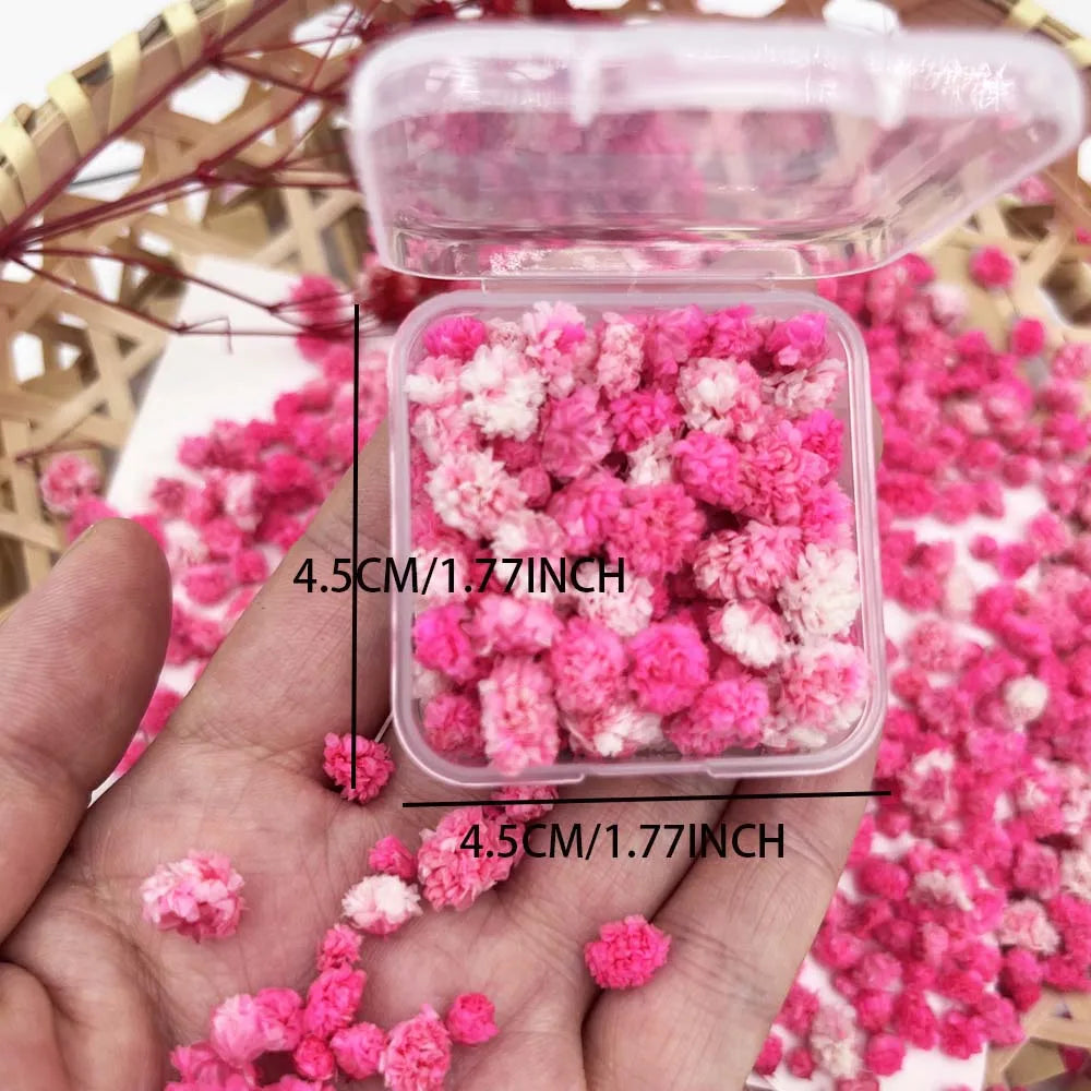Dried Flowers Box – Candle Making, Soap, Nail Art & DIY Dried Craft Flowers Zpaxo Light Grey