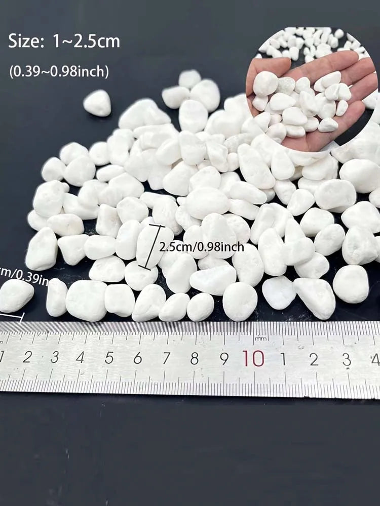 100/300/500g Cobblestone Decorative Stone Marbles for Succulent Bonsai Fish Tank Vase Plant Stone Home Garden Pebbles Decor Zpaxo