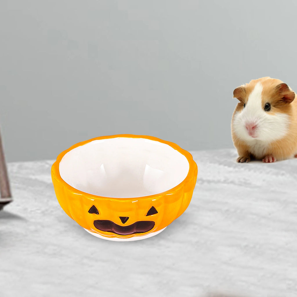 Ceramic Gerbil Chinchilla Rat Accessories Cute Landscaping Habitats Zpaxo