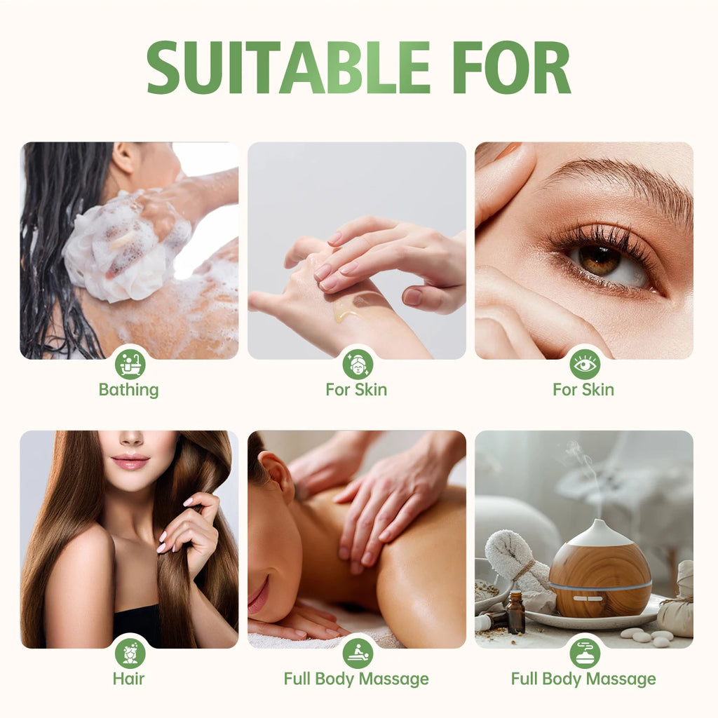 Cactus Essential Oil Plant Fragrance Suitable Multi-functional Uses Zpaxo