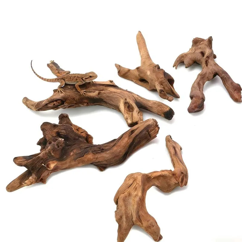 5-10cm Driftwood for Aquarium Fish Tank Wood Natural Aquarium Wood Smooth Decorations for Aquascaping Micro-aquariums Hardscape Zpaxo