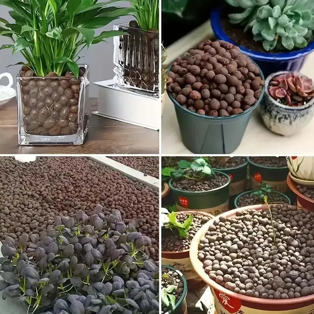 100g Expanded Clay Pebbles – Hydroponic & Aquatic Plant Media Clay Growing Medium Zpaxo