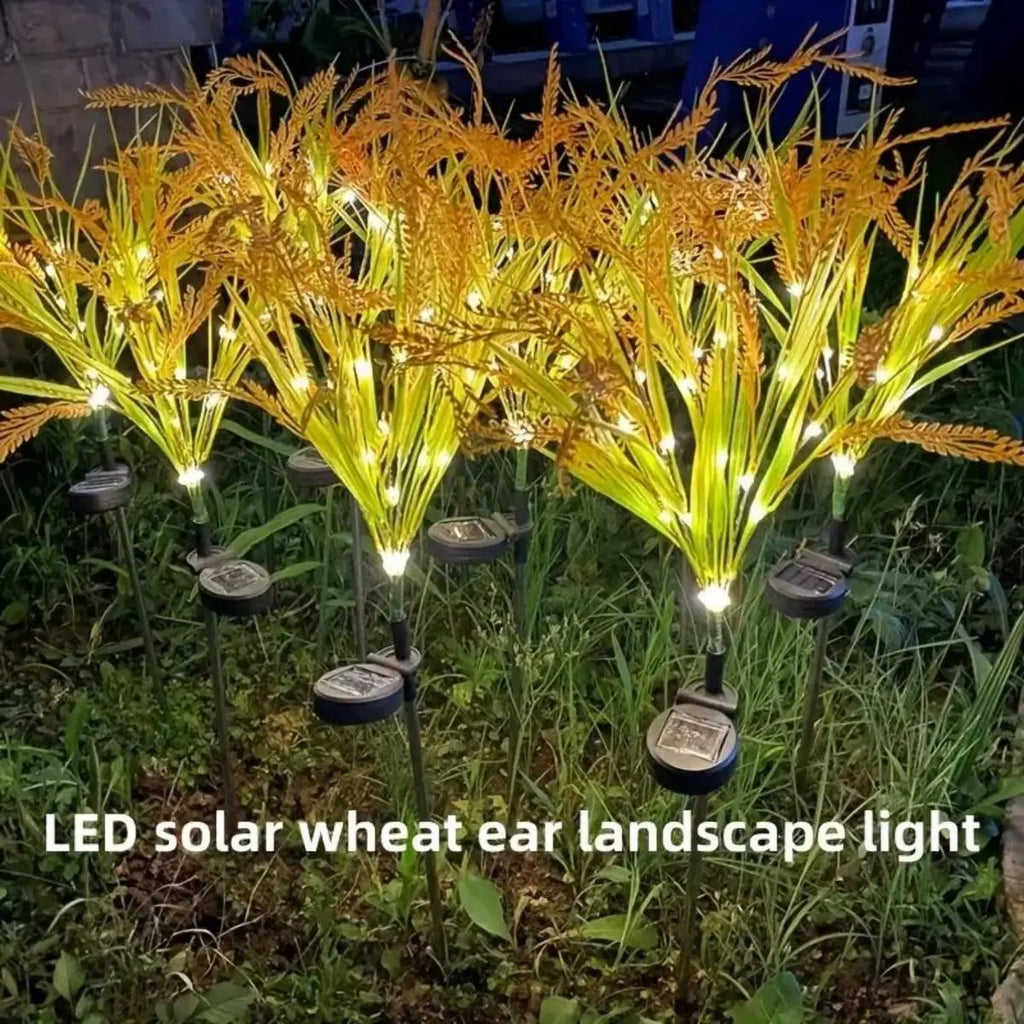 Vibrant Autumn Wheat Solar Pathway Lights Dusk-to-dawn LED Courtyard Zpaxo