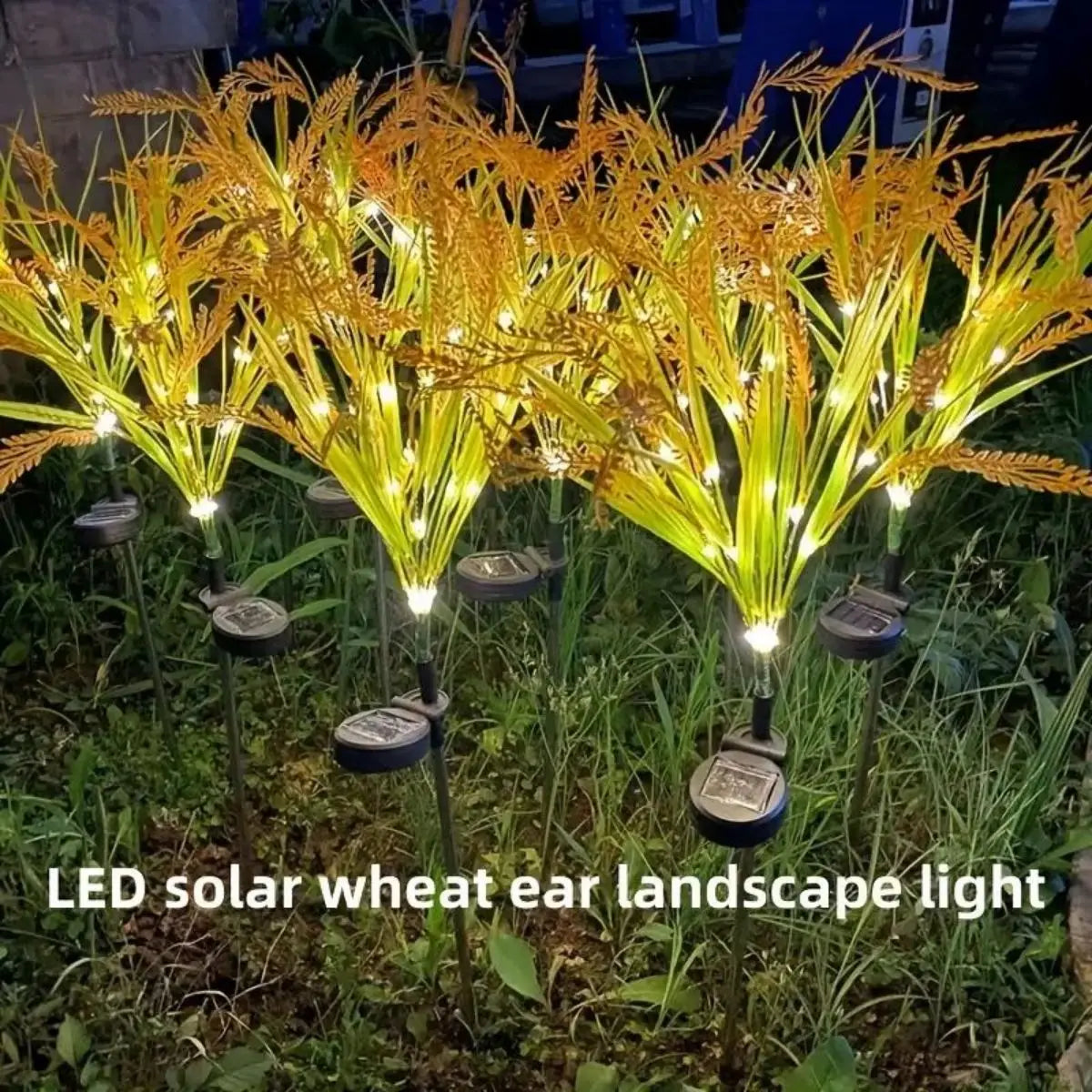 Vibrant Autumn Wheat Solar Pathway Lights Dusk-to-dawn LED Courtyard Zpaxo