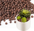 100/200G Clay Pebbles for Plants,Lightweight Clay Balls for Plants Drainage, Hydroponic Growing, Aquaponics, Orchid Potting Mix Zpaxo 100G