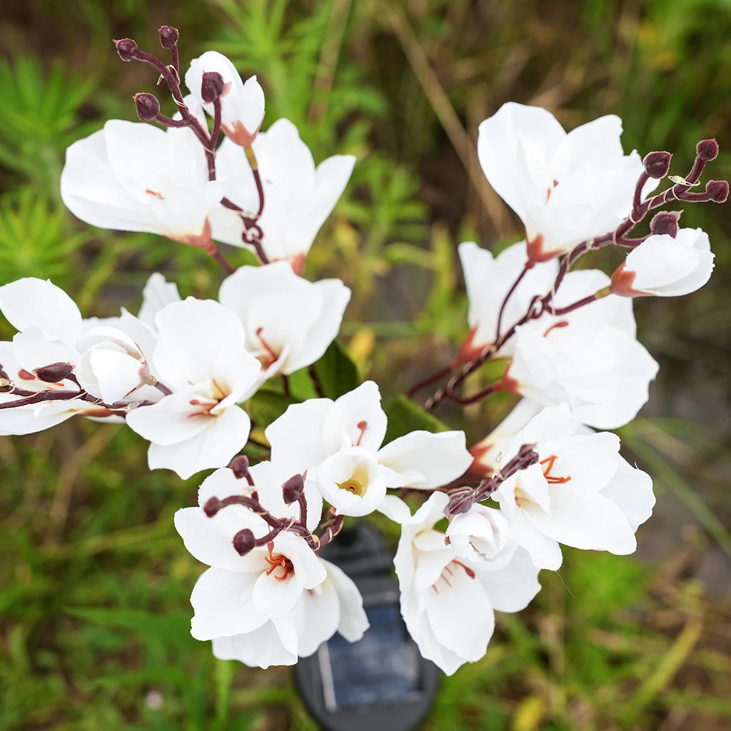 Solar Powered Magnolia Outdoor Waterproof Suitable Decorating Zpaxo
