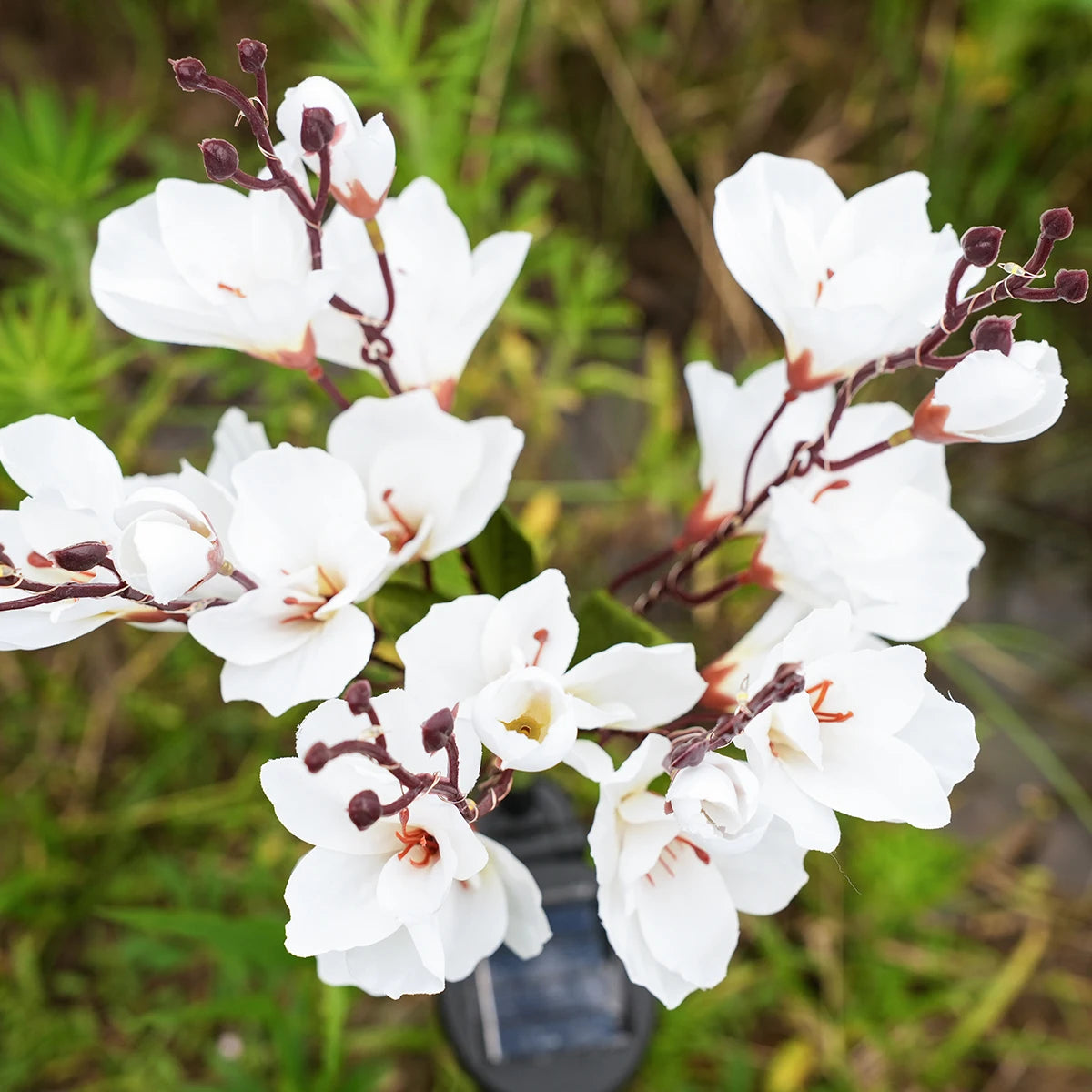 Solar Powered Magnolia Outdoor Waterproof Suitable Decorating Zpaxo