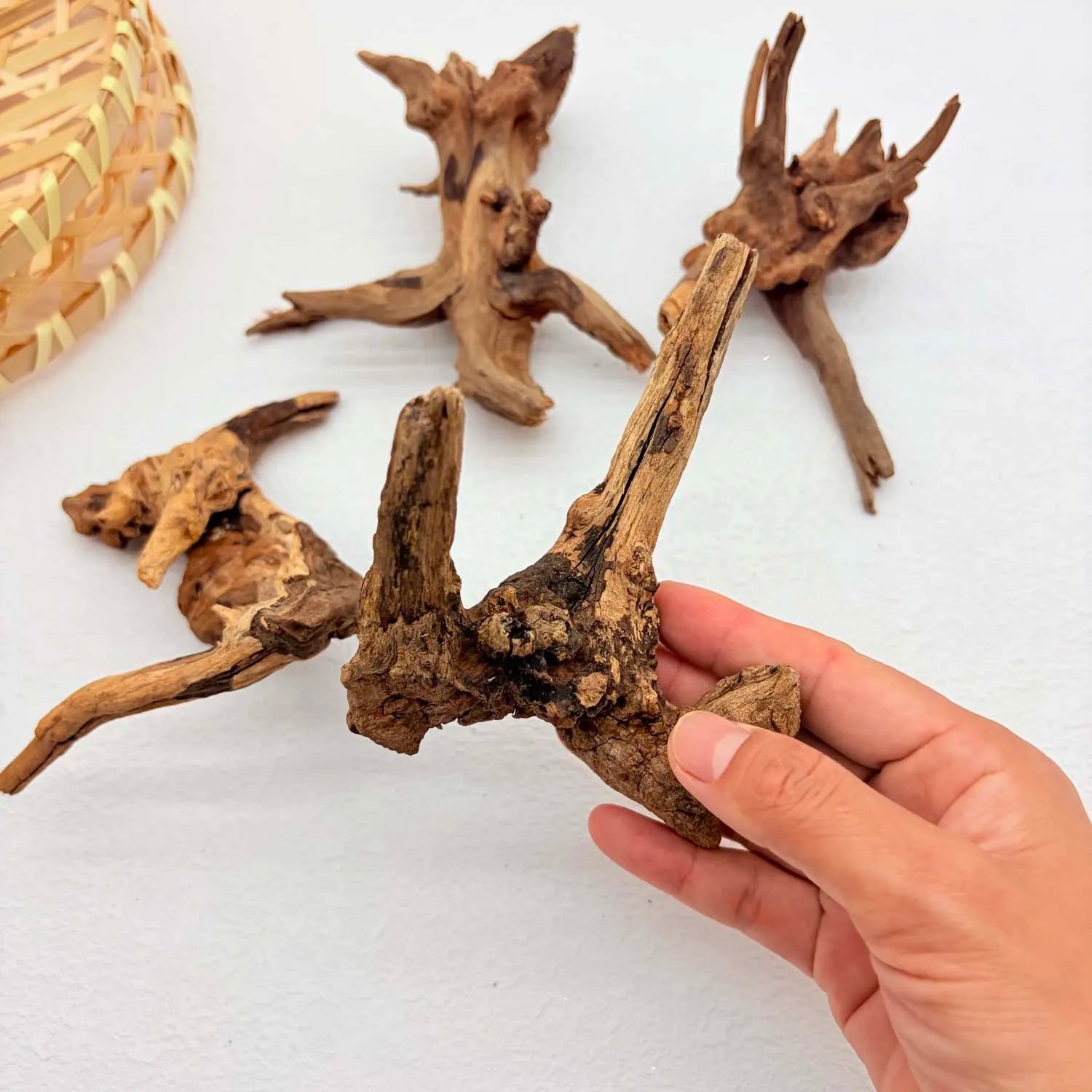 Natural Driftwood Aquarium Decor 2-Pack | Fish Tank Wood Ornament Aquarium Driftwood Decor Zpaxo