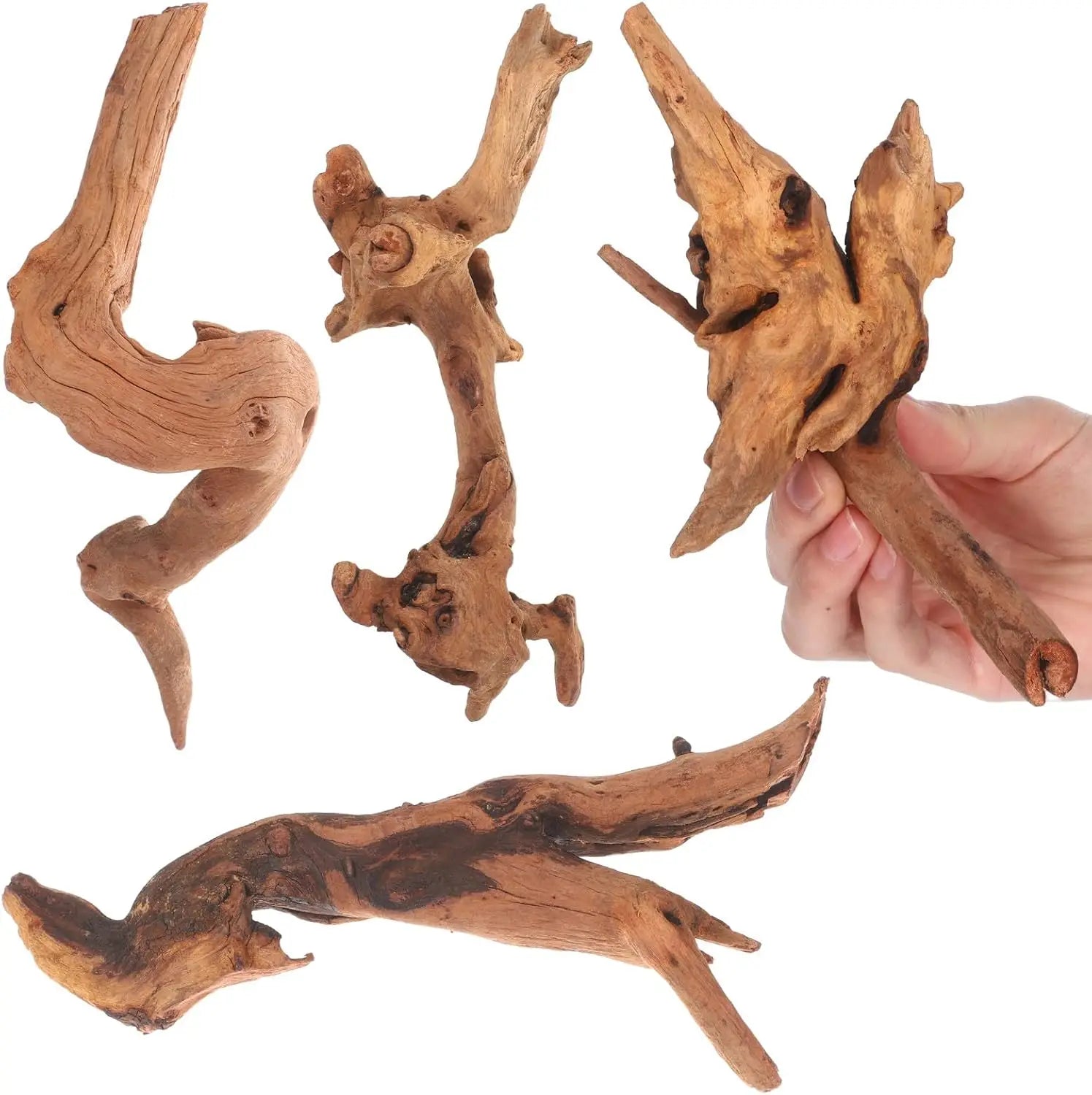 1PC 15-20CM 10-15CM Natural Driftwood for Aquarium Fish Tank Decorations Bearded Dragon Reptiles Air Plants Decor Accents Zpaxo