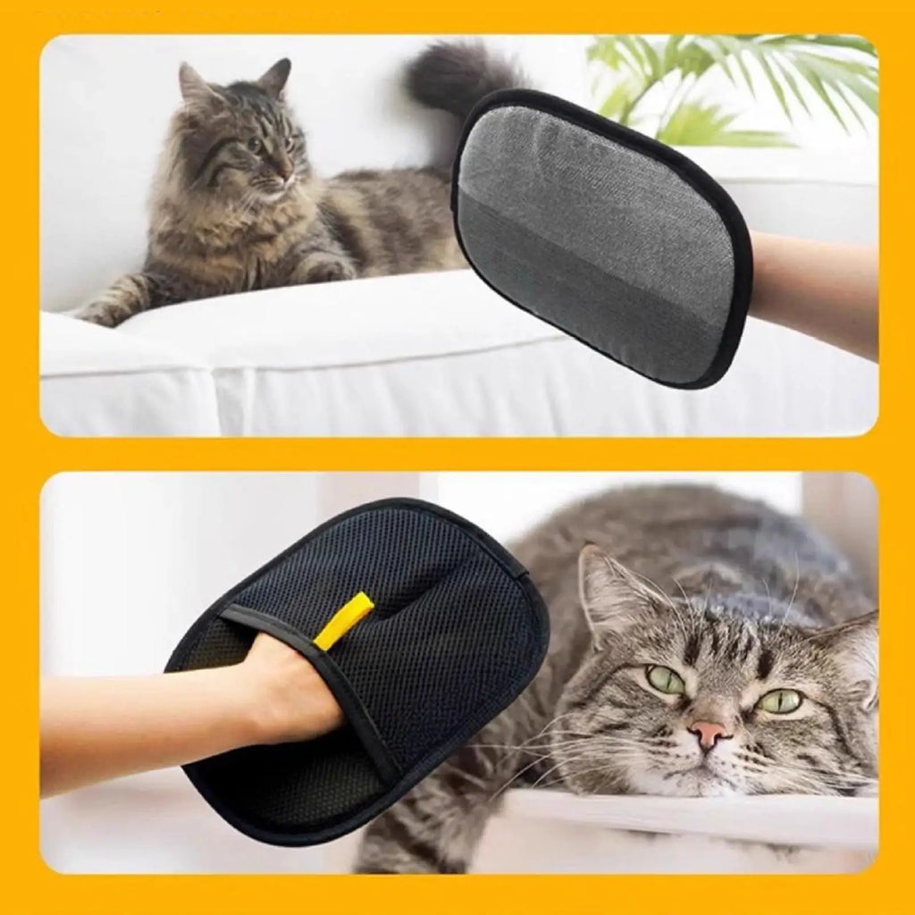 Pet Hair Removal Glove Dog Cat Grooming Glove for Cat rabbits hamsters long,short curly hair Bedsheet Sofa Reusable Pet Glove Zpaxo
