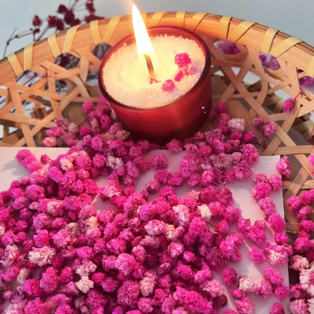Dried Flowers Box – Candle Making, Soap, Nail Art & DIY Dried Craft Flowers Zpaxo