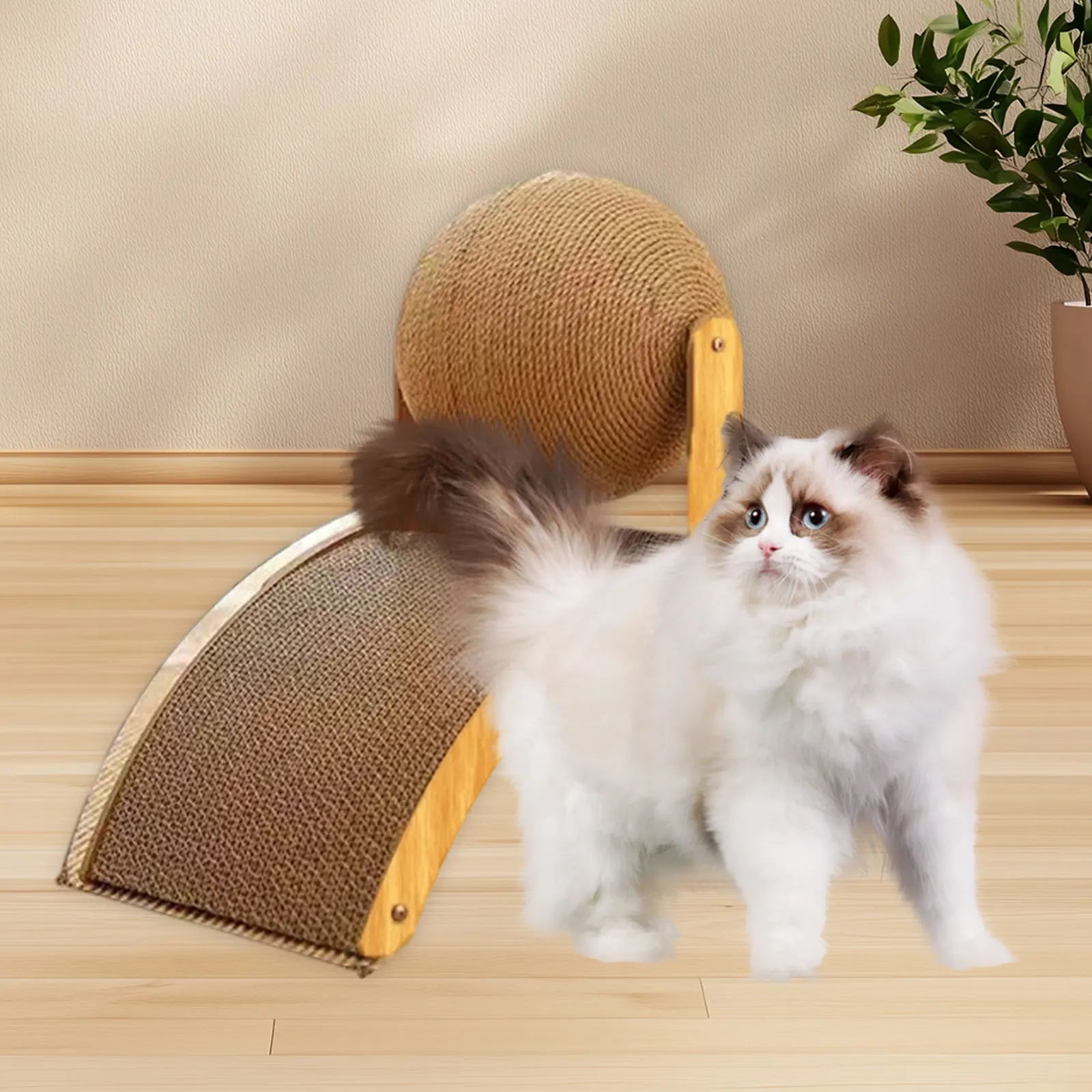 Cat scratching ball with Cat Scratch Post, Cat Training Interactive Toy for cats and kittens, Cat Sisal Scratcher Rotatable ball Zpaxo