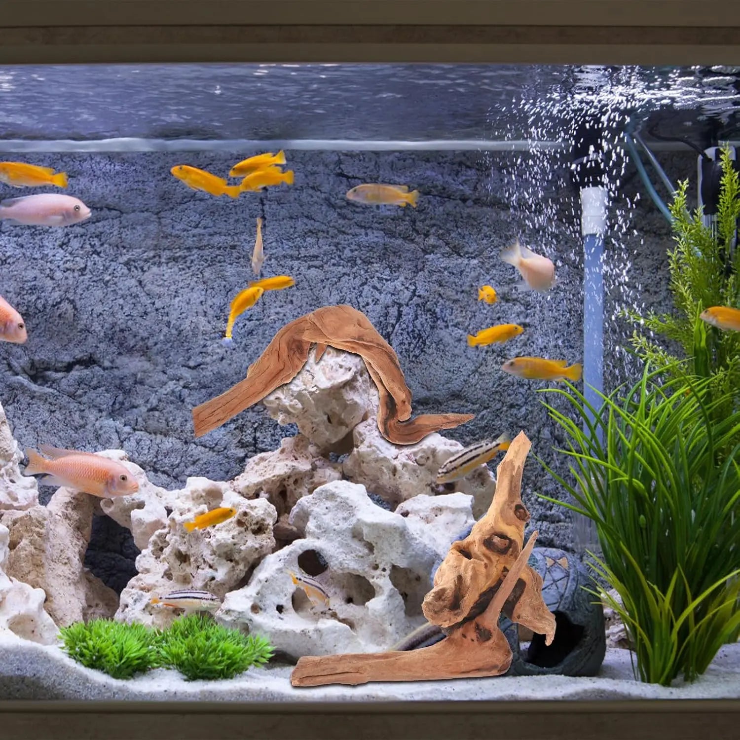 1PC 15-20CM 10-15CM Natural Driftwood for Aquarium Fish Tank Decorations Bearded Dragon Reptiles Air Plants Decor Accents Zpaxo