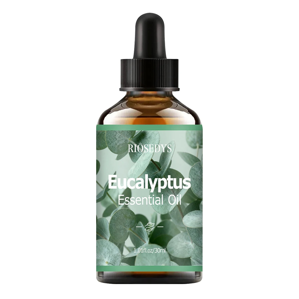 Eucalyptus Essential Oil Natural Fragrance Suitable Body Massage Zpaxo Eucalyptus 30ml