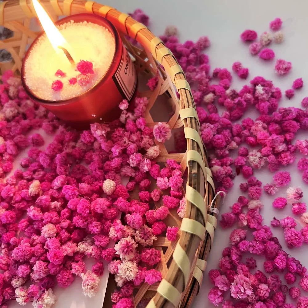 Dried Flowers Box – Candle Making, Soap, Nail Art & DIY Dried Craft Flowers Zpaxo