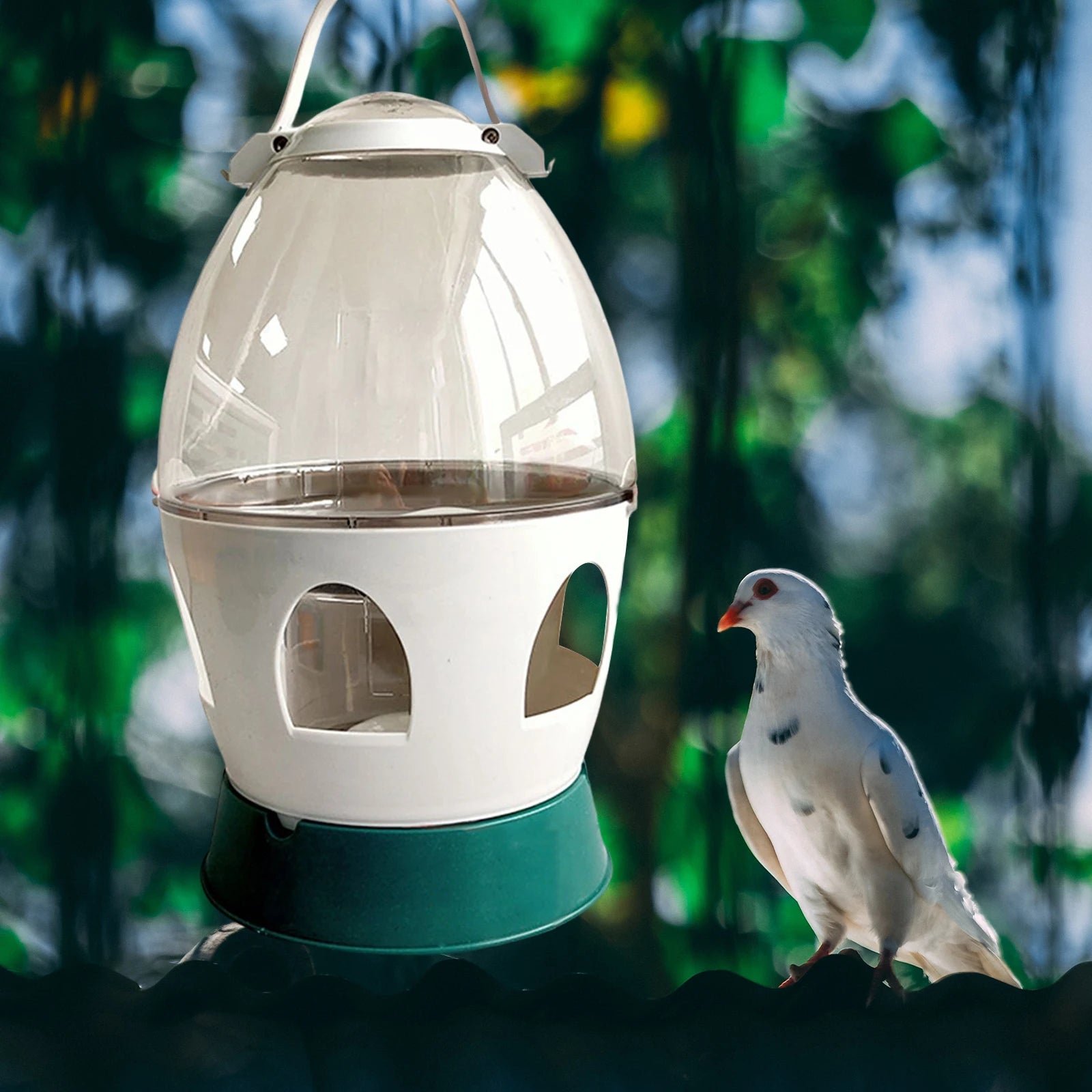 Pigeon Water Dispenser Automatic Feeder Water Container with Handle Bird Feeding Drinker for Dove Duck Bird Cage Accessories Zpaxo