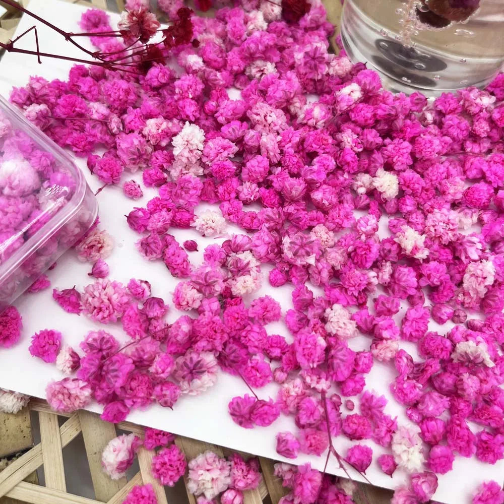 Dried Flowers Box – Candle Making, Soap, Nail Art & DIY Dried Craft Flowers Zpaxo