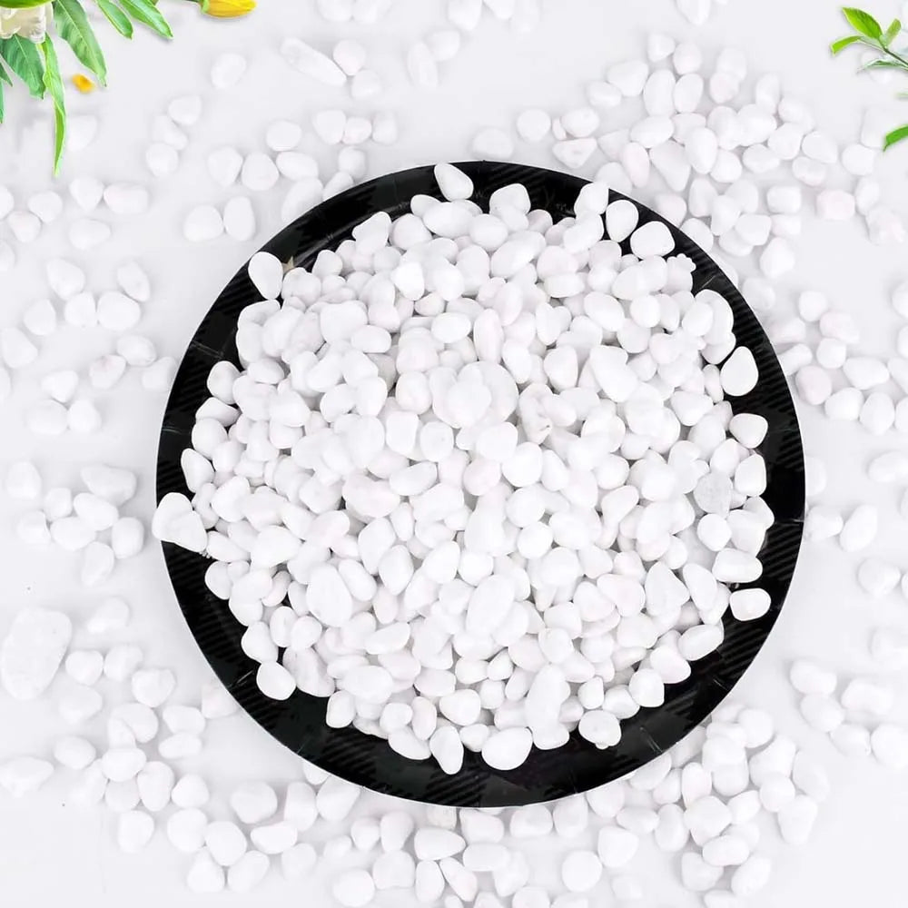 100/300/500g Cobblestone Decorative Stone Marbles for Succulent Bonsai Fish Tank Vase Plant Stone Home Garden Pebbles Decor Zpaxo
