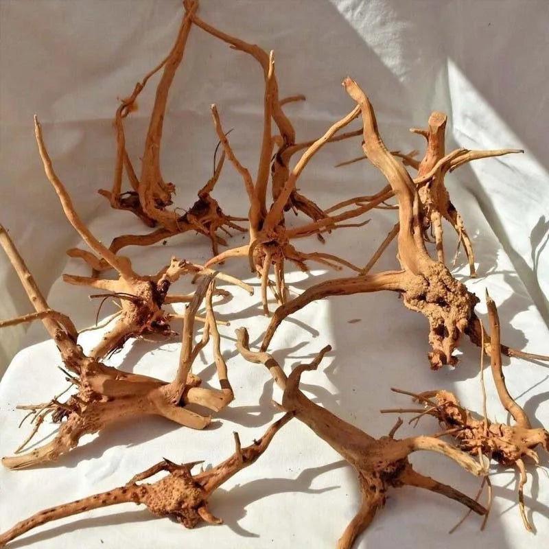 1PC Driftwood for Aquarium,Natural Spider Wood Reptile Branches Fish Tank Log Ornament Aquarium Trunk Decoration Zpaxo