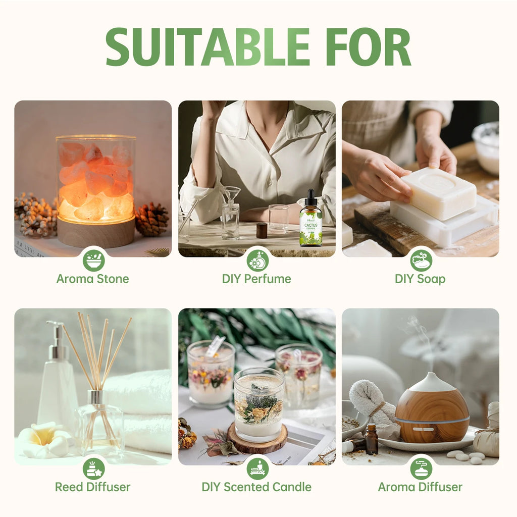 Cactus Essential Oil Plant Fragrance Suitable Multi-functional Uses Zpaxo