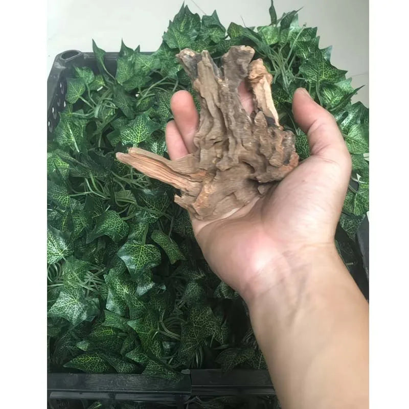 5-10cm Driftwood for Aquarium Fish Tank Wood Natural Aquarium Wood Smooth Decorations for Aquascaping Micro-aquariums Hardscape Zpaxo