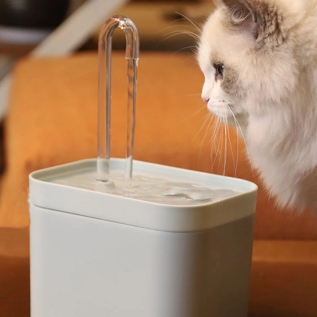 Pet Water Dispenser Auto Filter 5V USB Electric Mute Cat Drinker Zpaxo